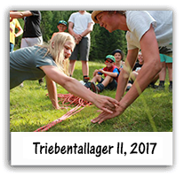 Triebentallager II, 2017